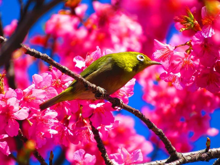座骨神経痛で悩んでいませんか？久米川に慢性腰痛専門の整体院あります。