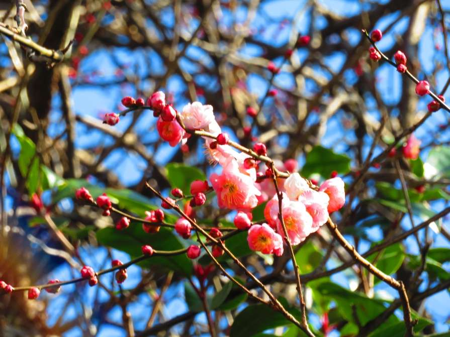 寒暖差で疲労が溜まっていませんか？体調崩される方増えています。