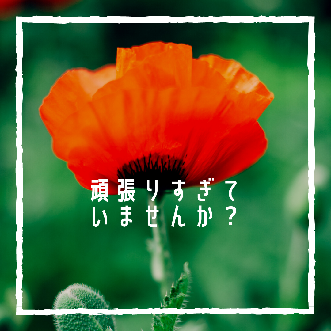 痛み我慢していませんか？東村山paypayキャンペーン中です【久米川・女性院長】