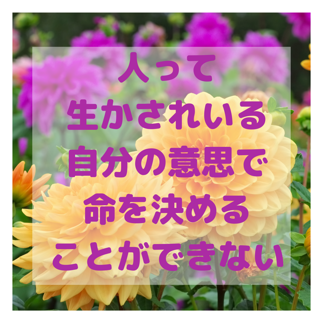 9月になりました！コロナの体験をされた方のお話シェアします【久米川・女性院長】