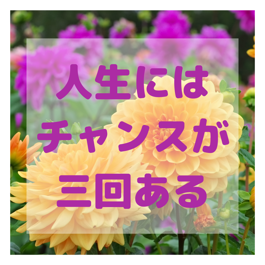人生のチャンスは三回！？【久米川・女性院長】